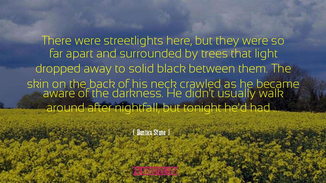 Nightfall quotes by Danika Stone