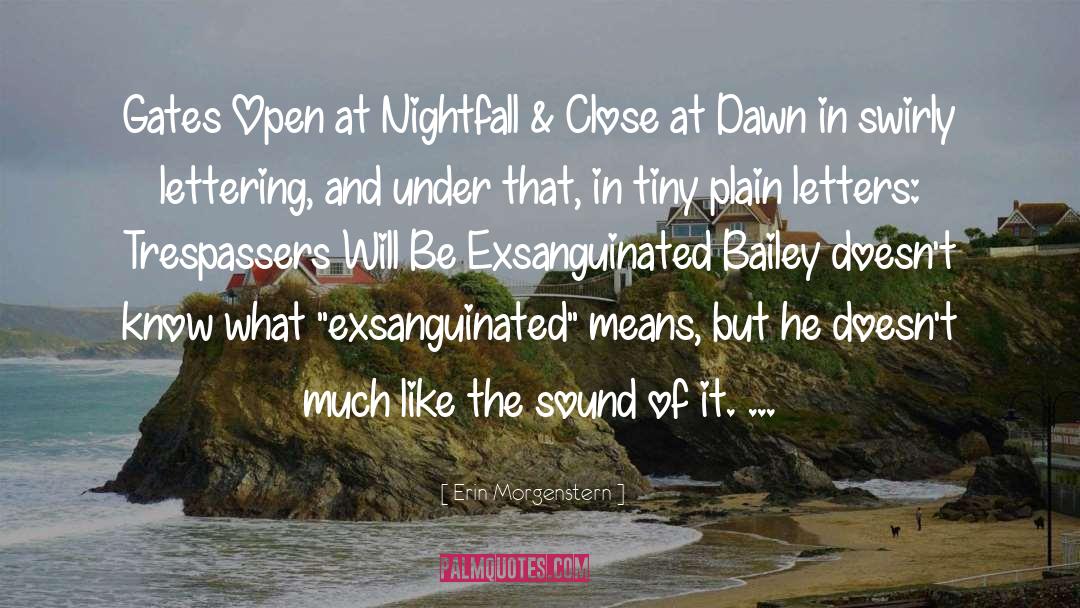 Nightfall quotes by Erin Morgenstern