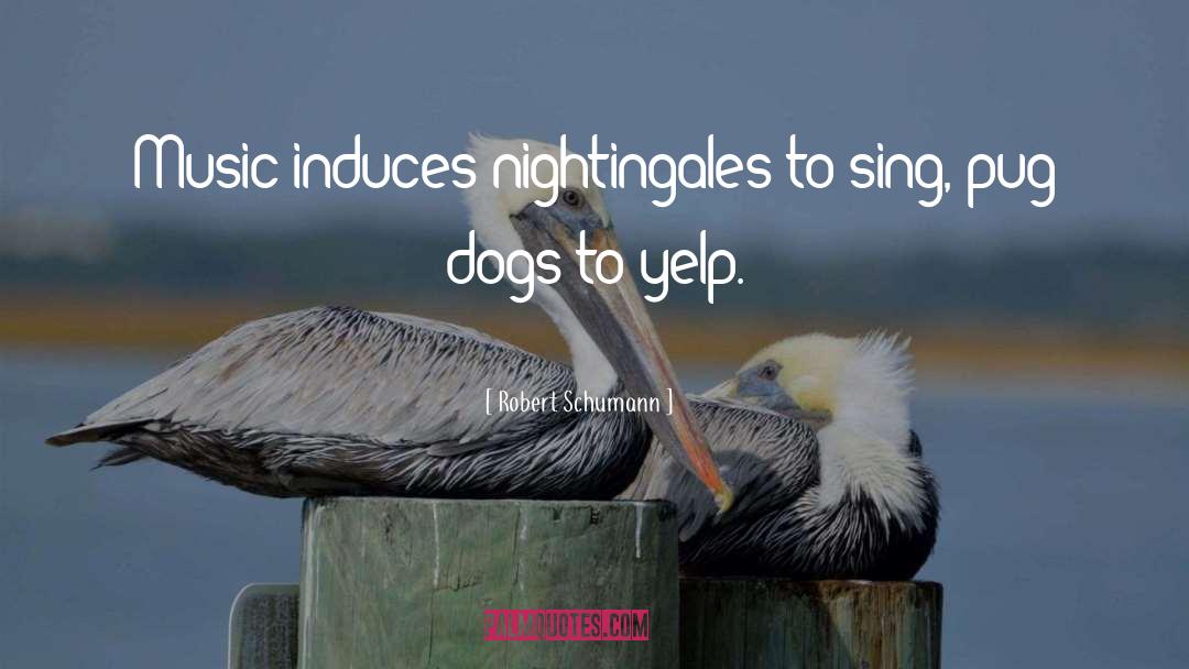 Nightingales quotes by Robert Schumann