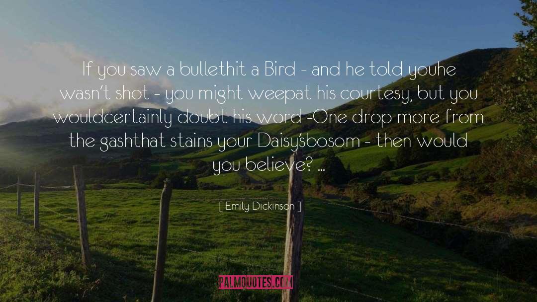 Nightjar Bird quotes by Emily Dickinson