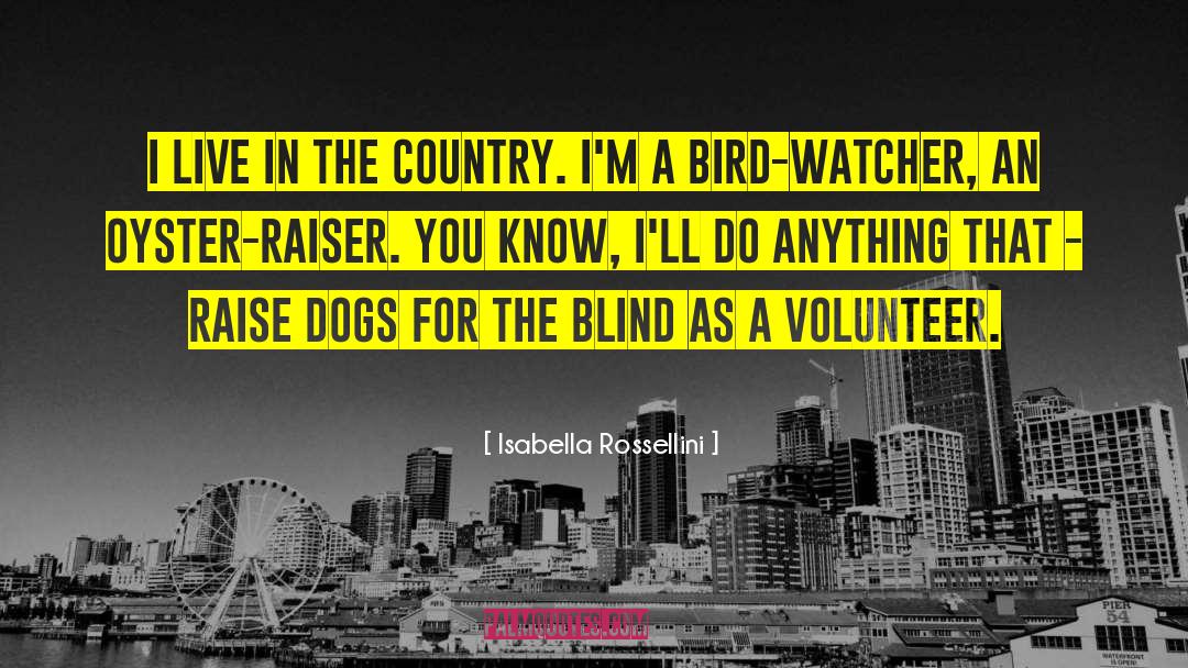 Nightjar Bird quotes by Isabella Rossellini