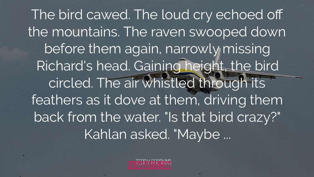 Nightjar Bird quotes by Terry Goodkind