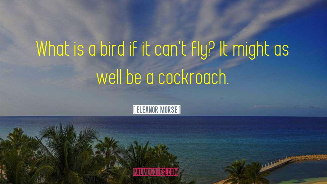 Nightjar Bird quotes by Eleanor Morse