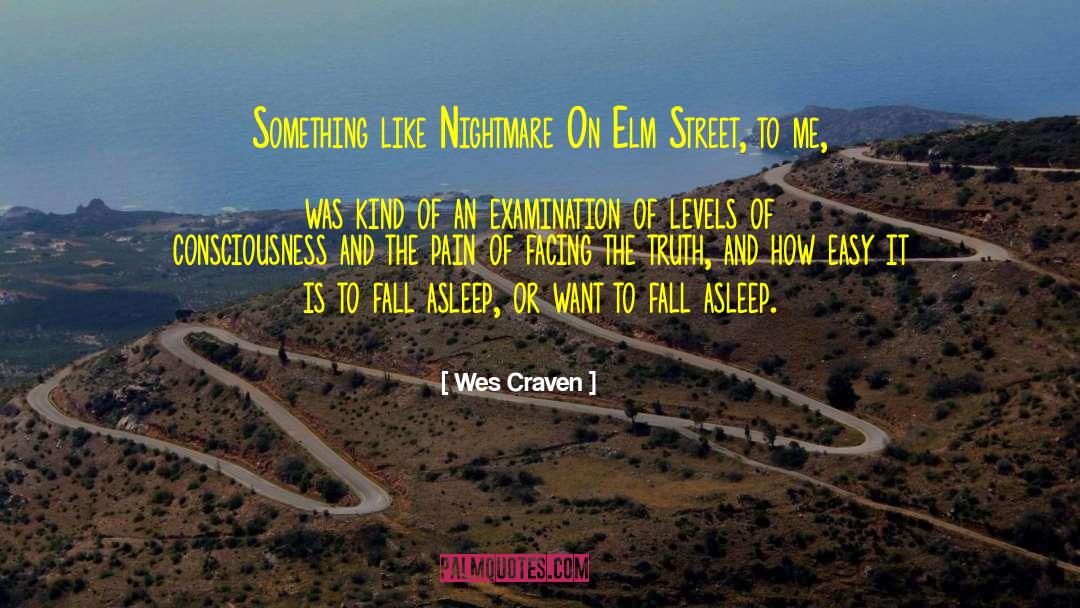Nightmare On Elm Street quotes by Wes Craven