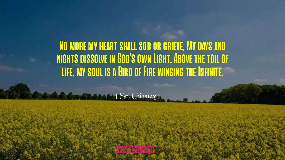 Nights Out quotes by Sri Chinmoy