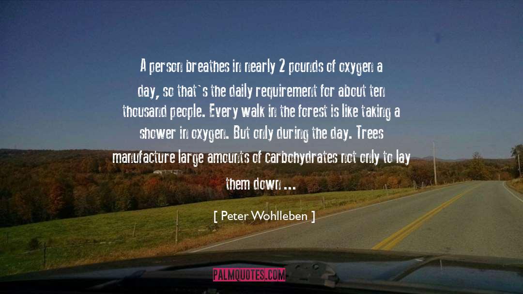 Nighttime quotes by Peter Wohlleben