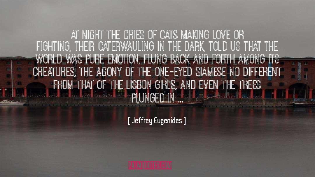 Nighttrain To Lisbon quotes by Jeffrey Eugenides