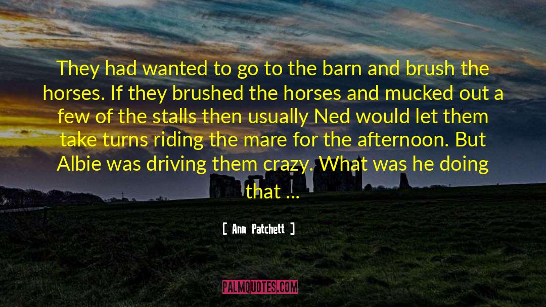 Nightwalker Monster quotes by Ann Patchett