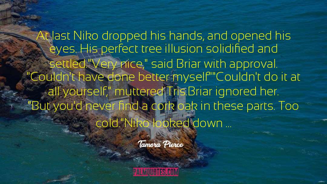 Niko quotes by Tamora Pierce