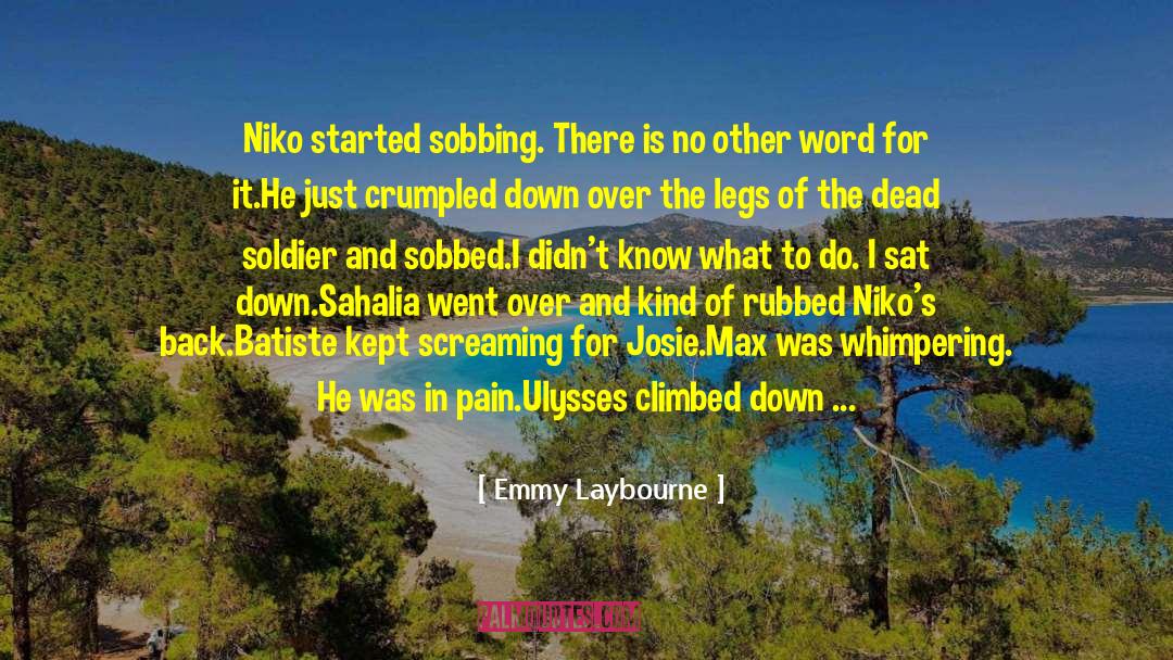 Niko quotes by Emmy Laybourne