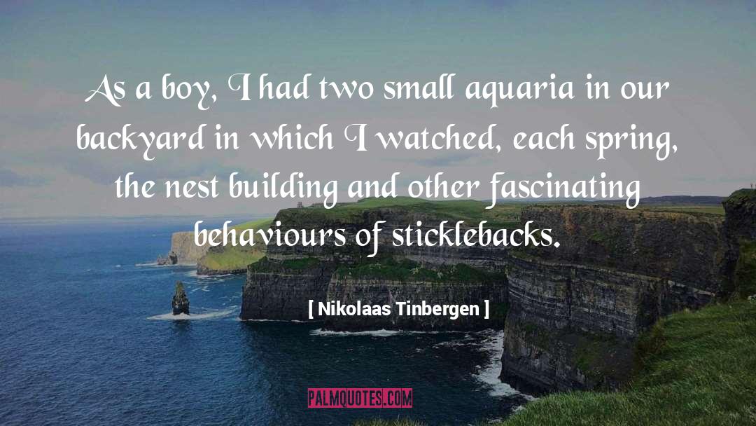 Nikolaas Sintobin quotes by Nikolaas Tinbergen