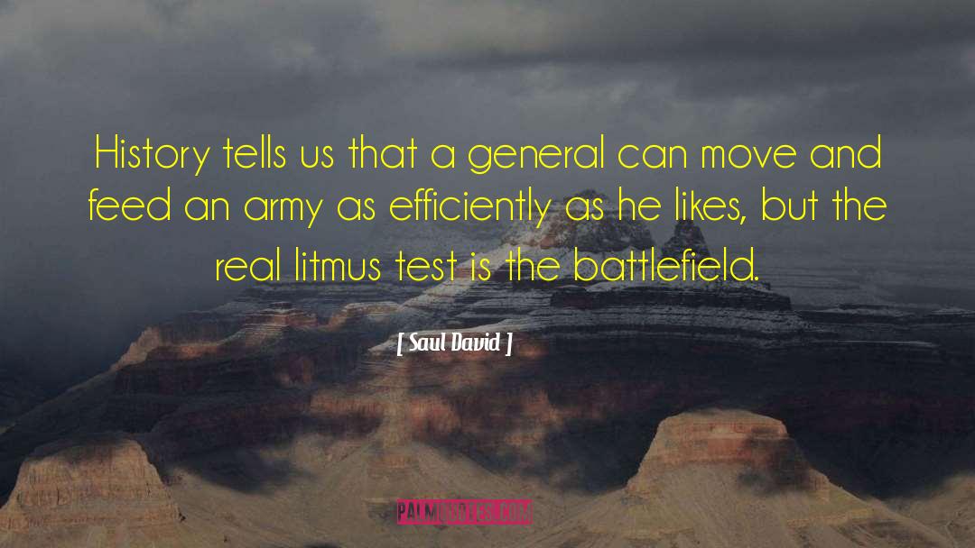 Nilfgaardian Army quotes by Saul David