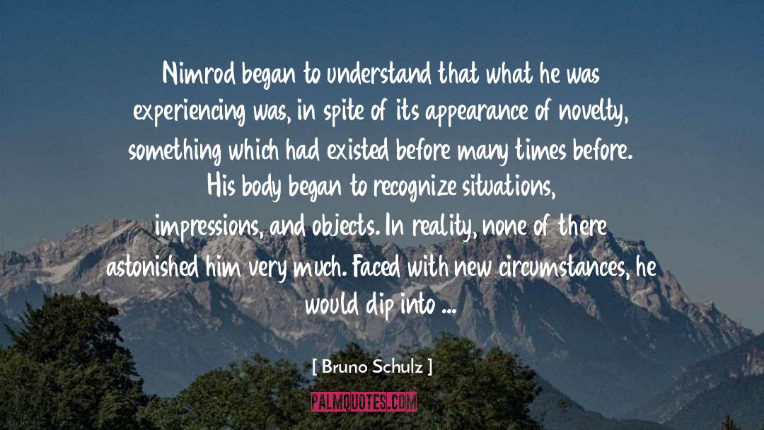 Nimrod quotes by Bruno Schulz
