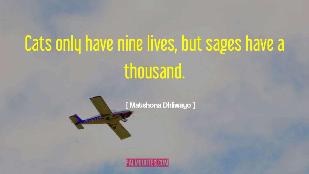 Nine Lives quotes by Matshona Dhliwayo