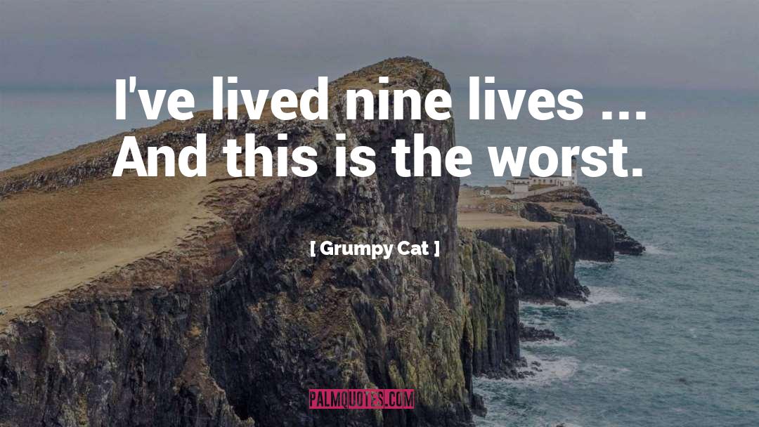 Nine Lives quotes by Grumpy Cat