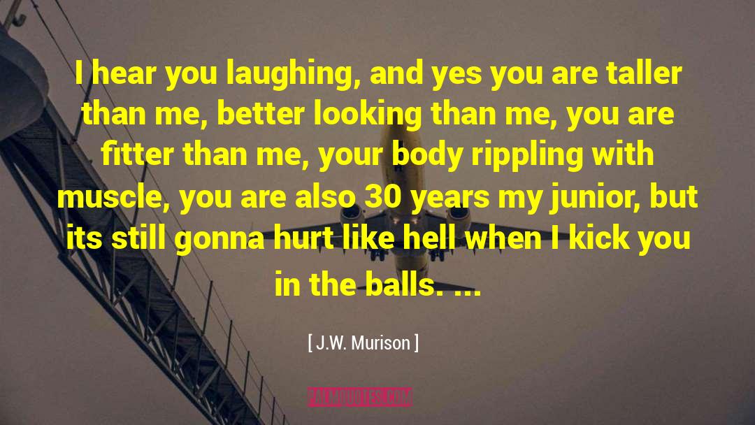 Ninja Kick quotes by J.W. Murison