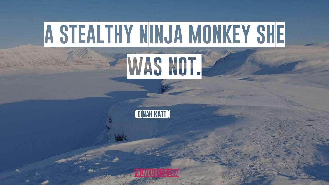 Ninja quotes by Dinah Katt