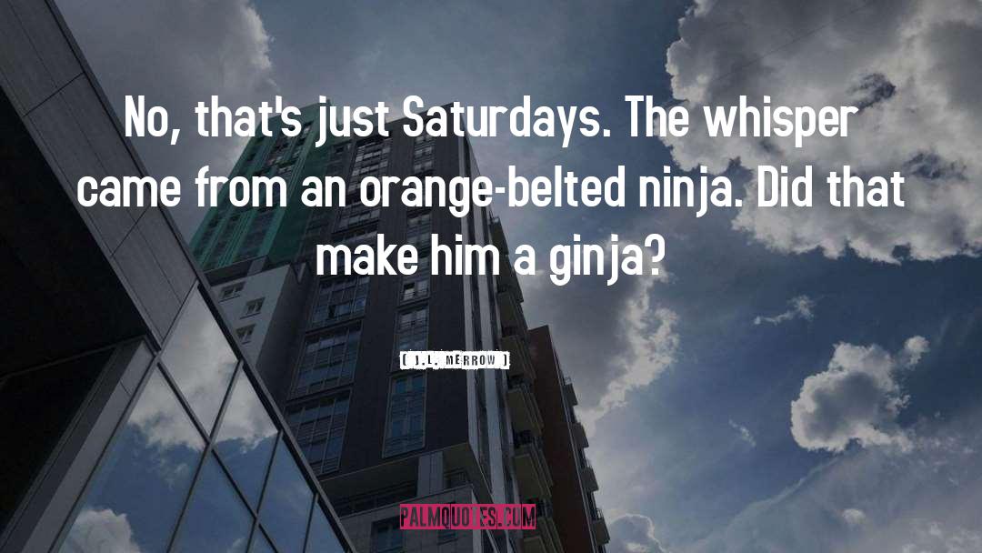 Ninja quotes by J.L. Merrow