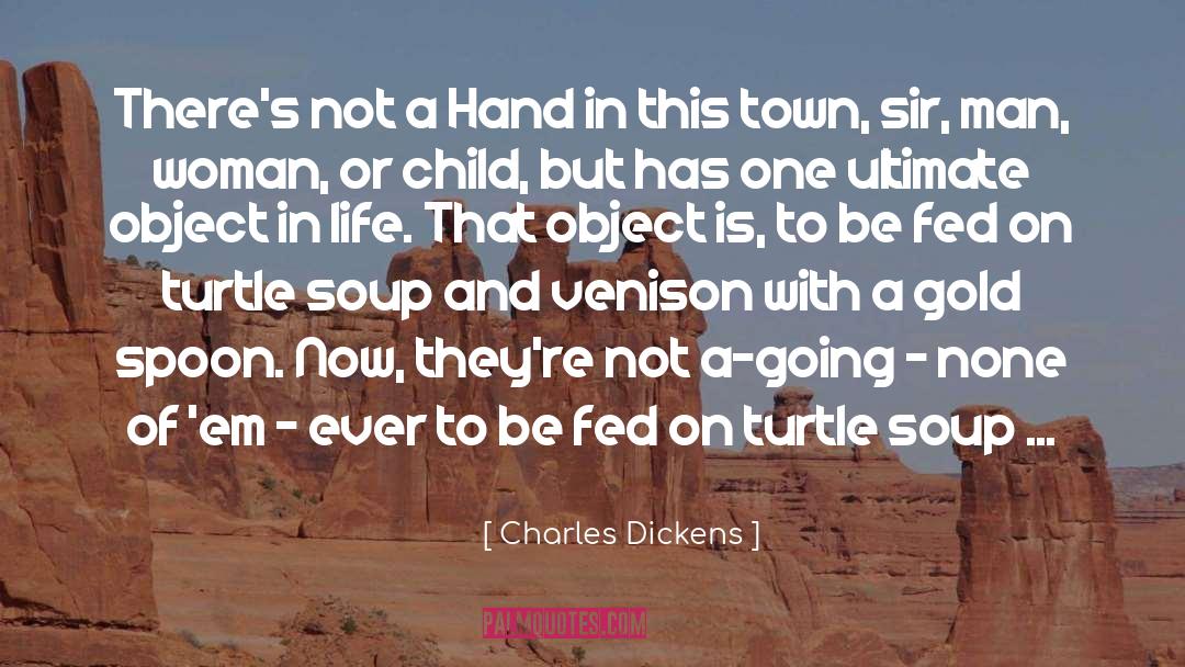 Ninja Turtle quotes by Charles Dickens