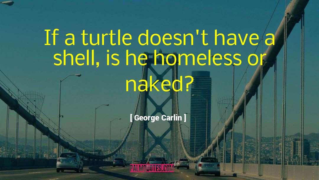Ninja Turtle quotes by George Carlin
