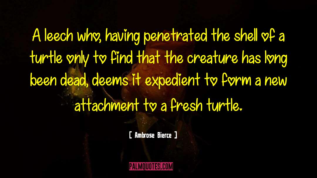 Ninja Turtle quotes by Ambrose Bierce