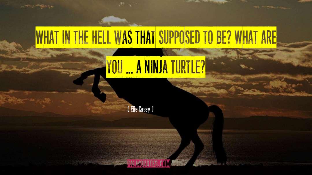 Ninja Turtle quotes by Elle Casey