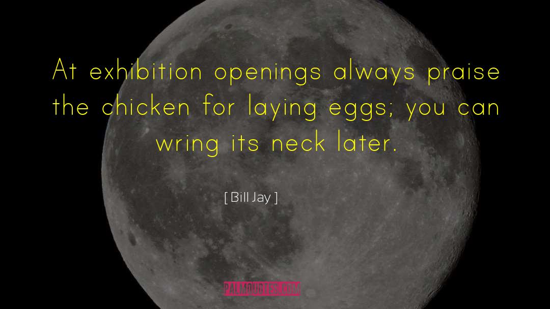 Ninth Opening quotes by Bill Jay