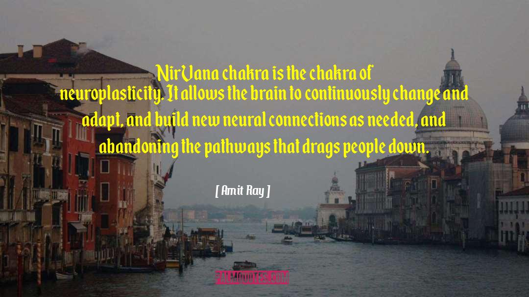 Nirvana Chakra quotes by Amit Ray