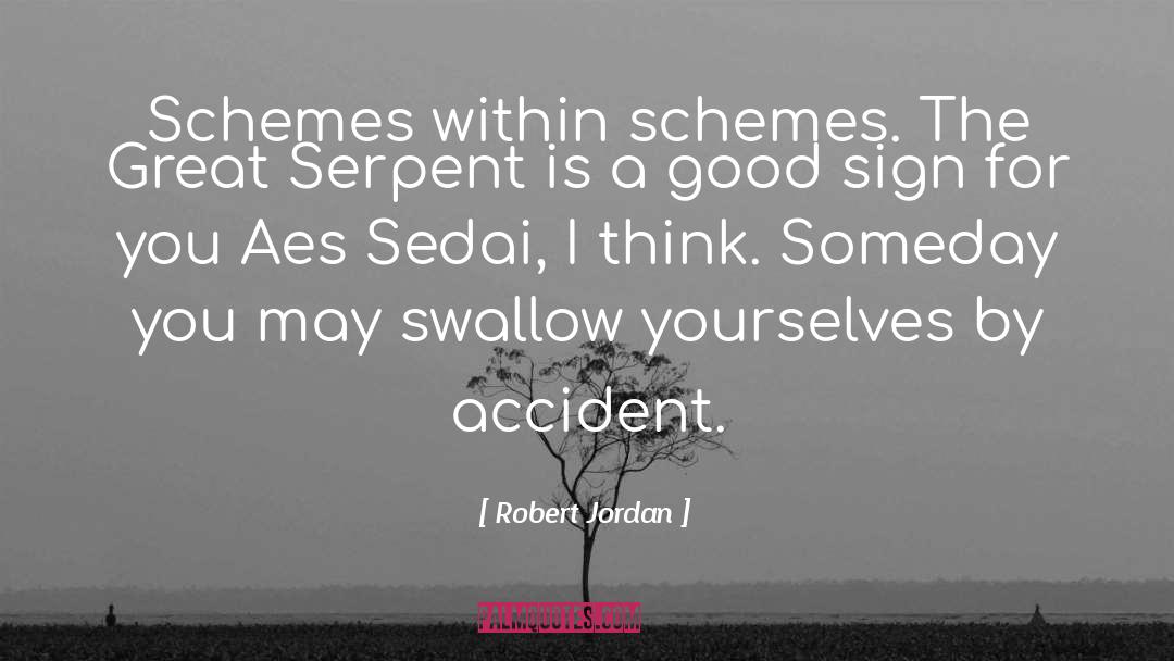 Nisao Sedai quotes by Robert Jordan