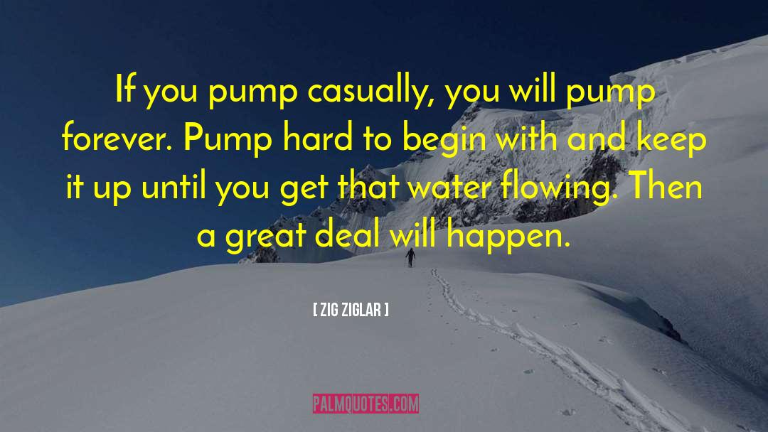 Nishigaki Pump quotes by Zig Ziglar