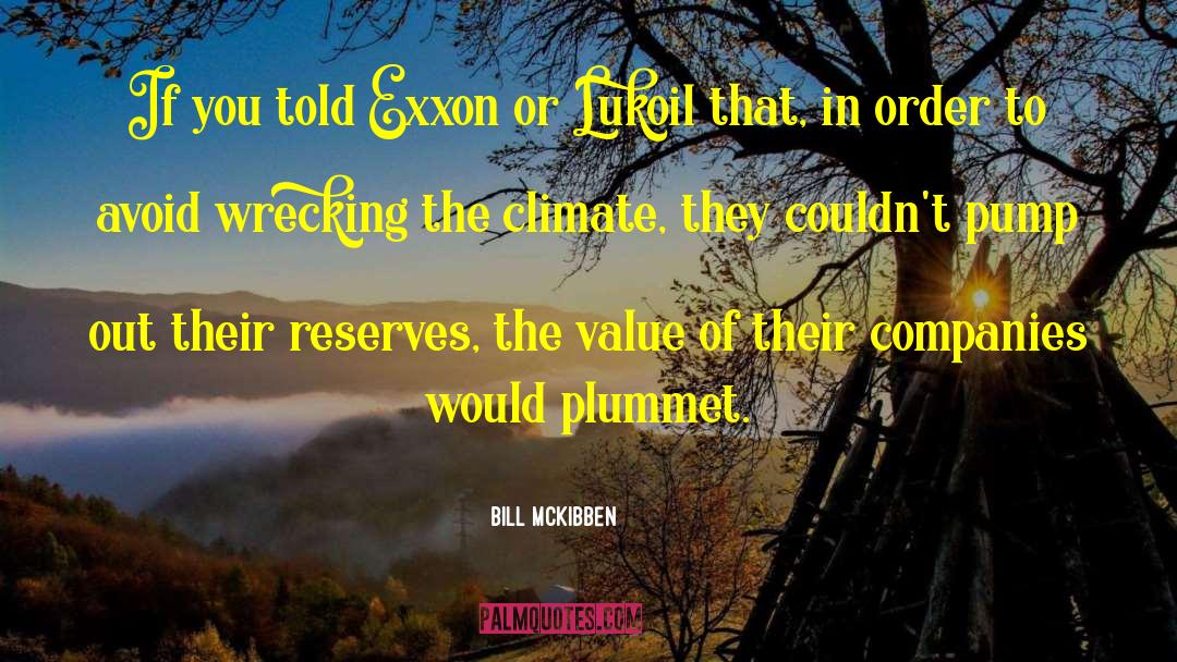 Nishigaki Pump quotes by Bill McKibben