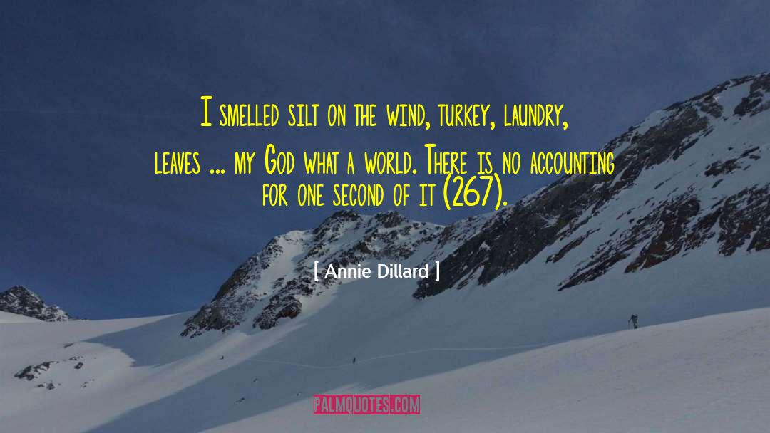 Nisivoccia Accounting quotes by Annie Dillard
