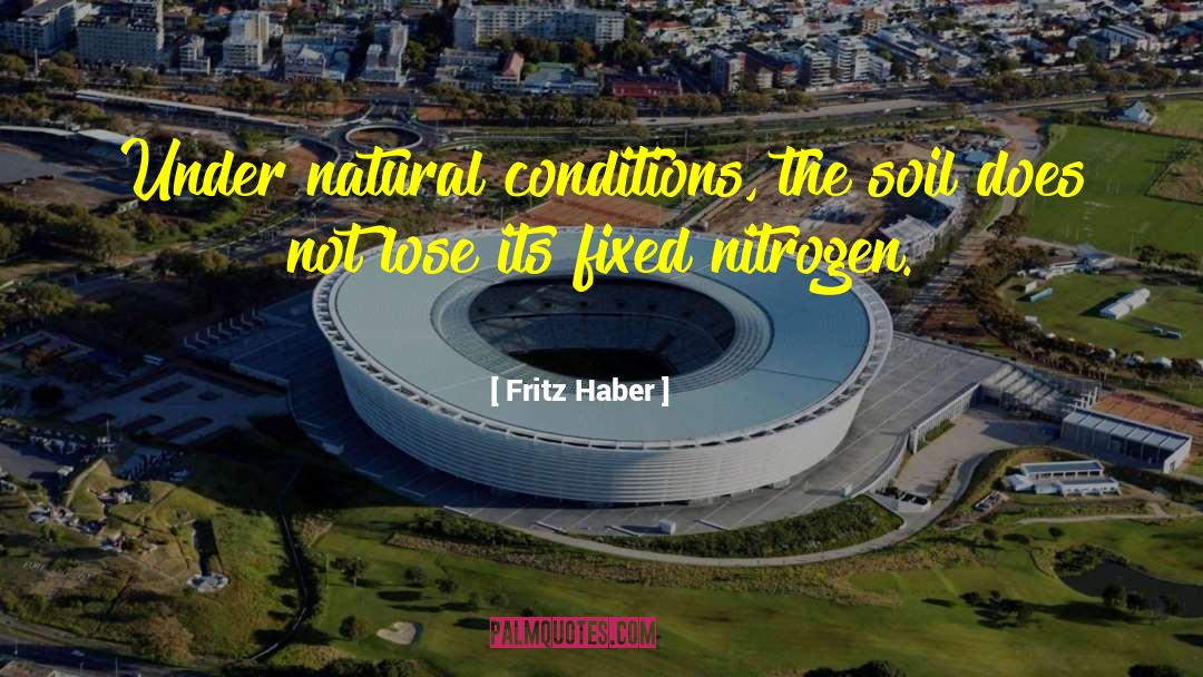 Nitrogen quotes by Fritz Haber
