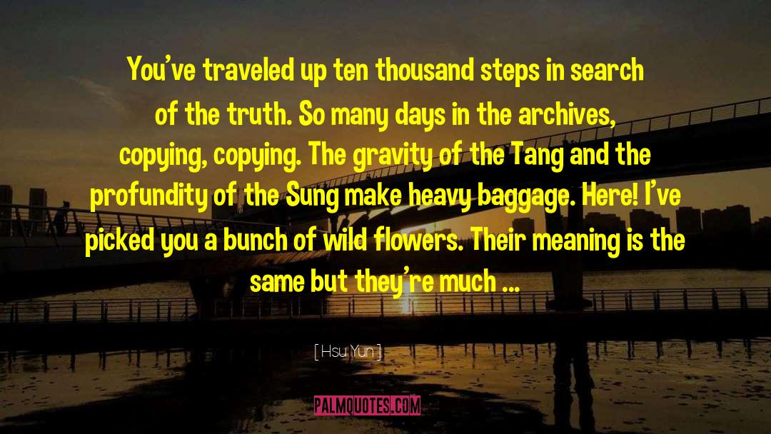 No Baggage quotes by Hsu Yun