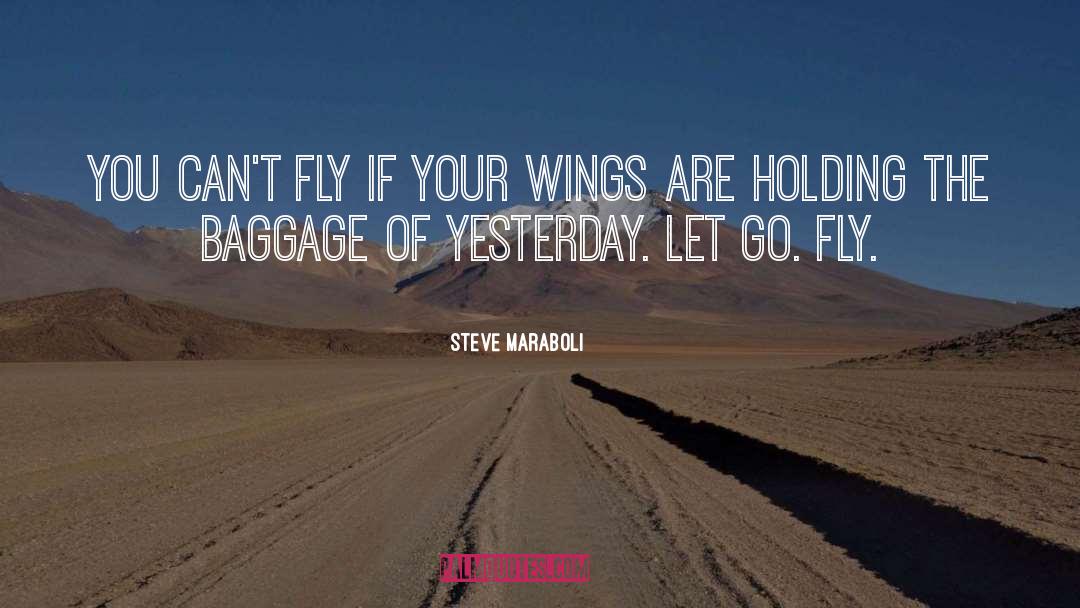 No Baggage quotes by Steve Maraboli