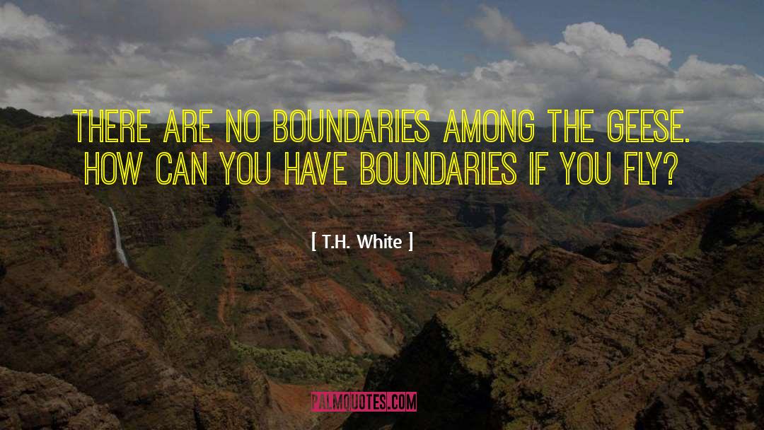 No Boundaries quotes by T.H. White