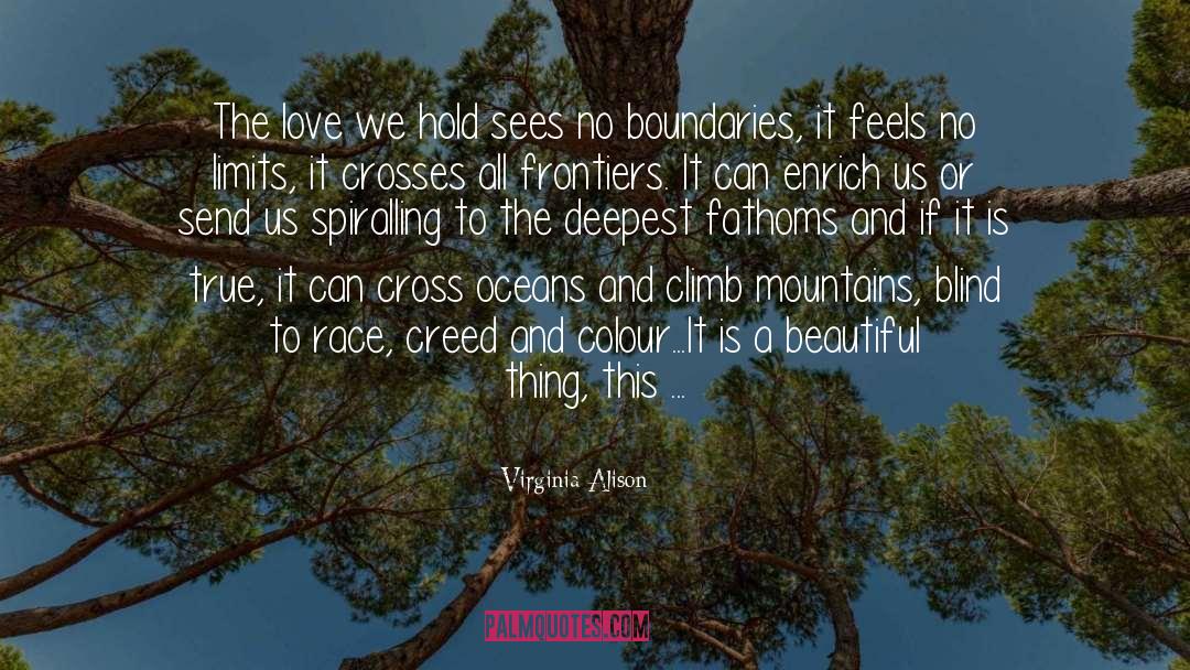 No Boundaries quotes by Virginia Alison