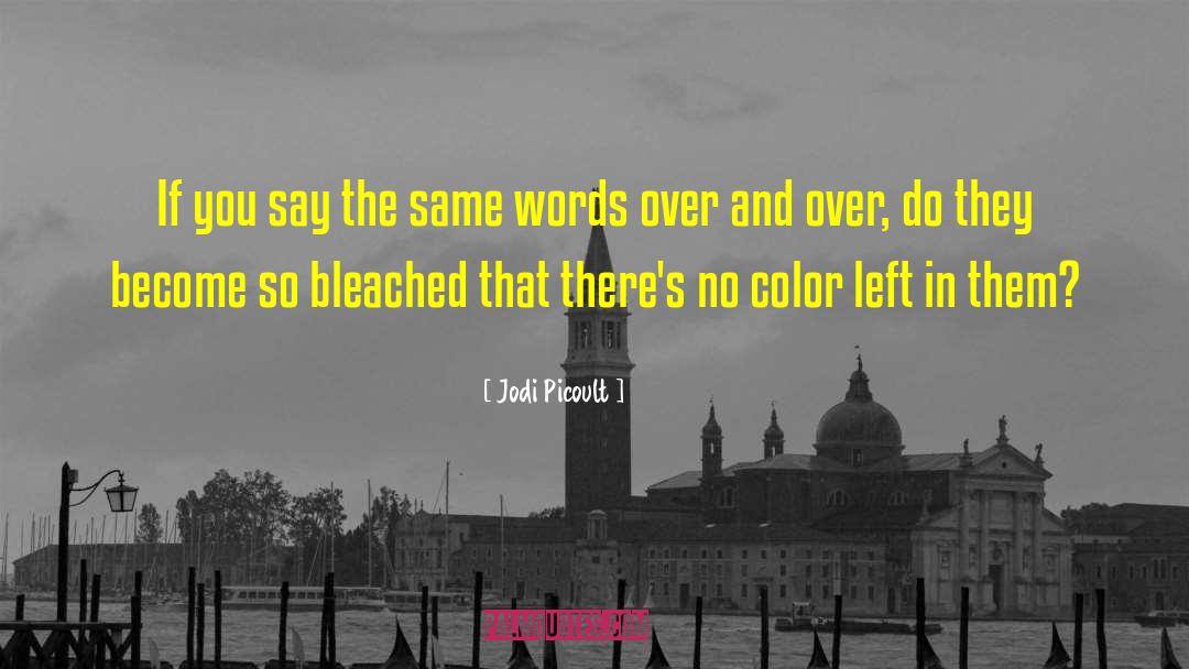 No Color quotes by Jodi Picoult