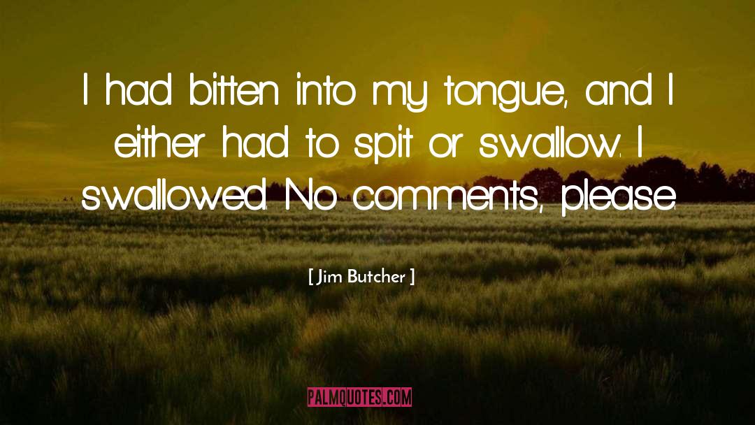 No Comments quotes by Jim Butcher