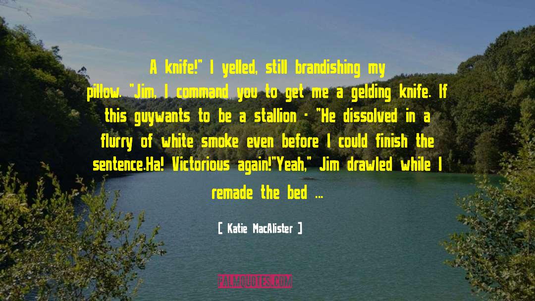 No Commitment quotes by Katie MacAlister