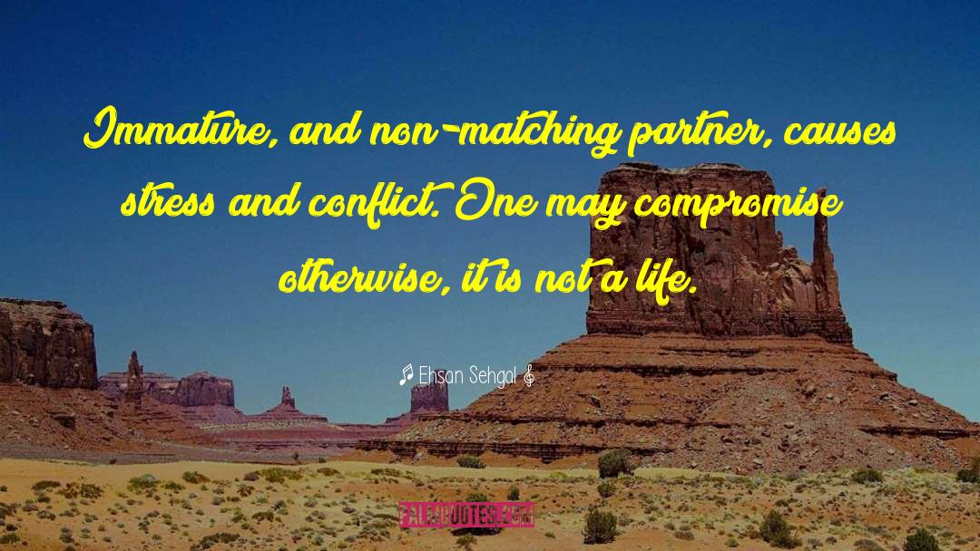 No Compromise quotes by Ehsan Sehgal