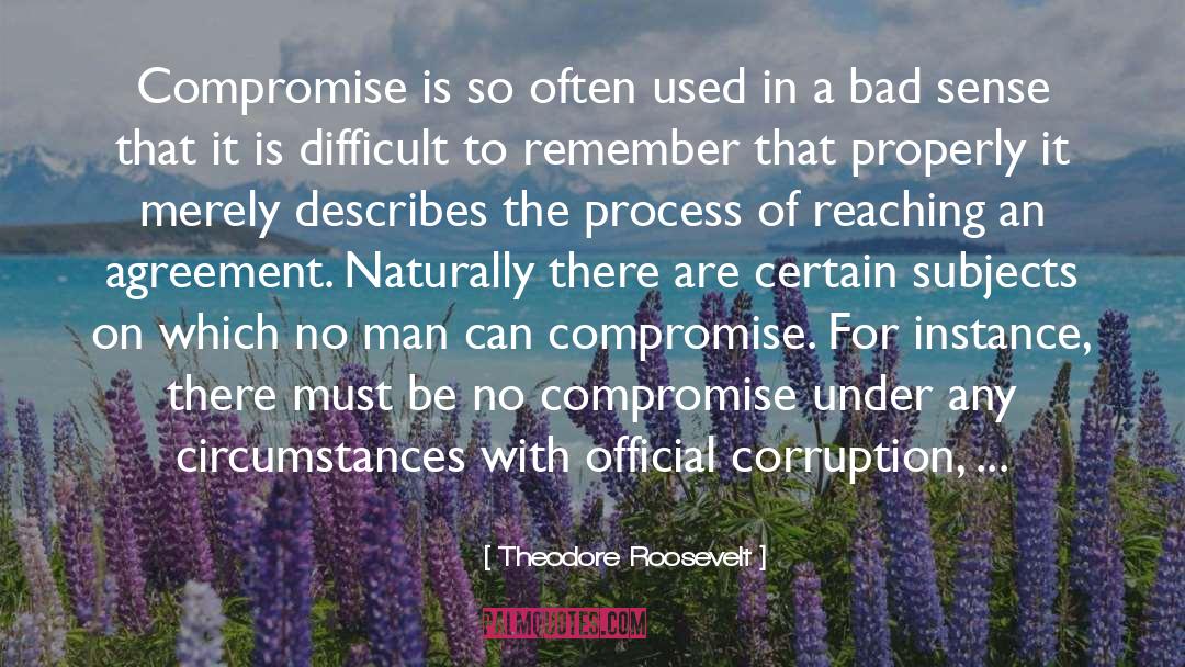 No Compromise quotes by Theodore Roosevelt