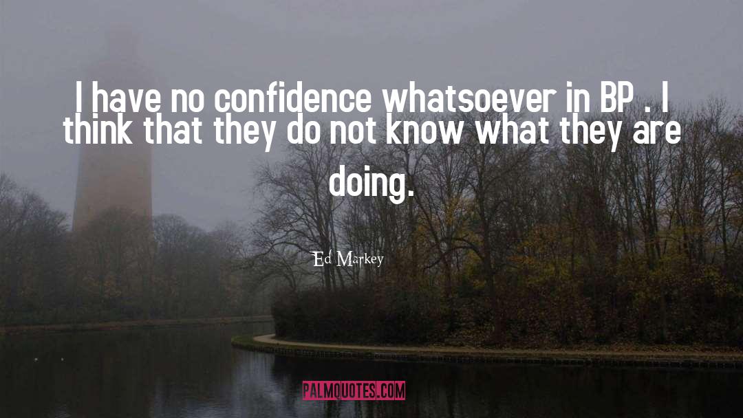 No Confidence quotes by Ed Markey