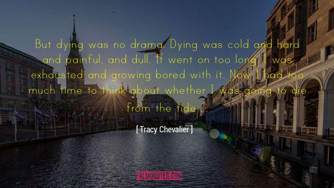 No Drama quotes by Tracy Chevalier