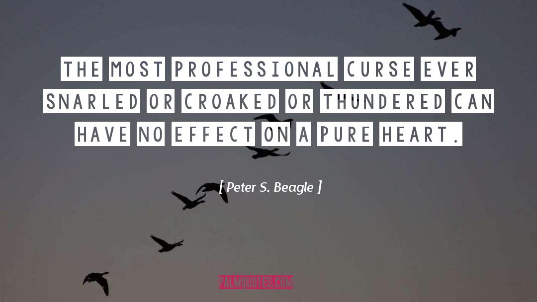 No Effect quotes by Peter S. Beagle