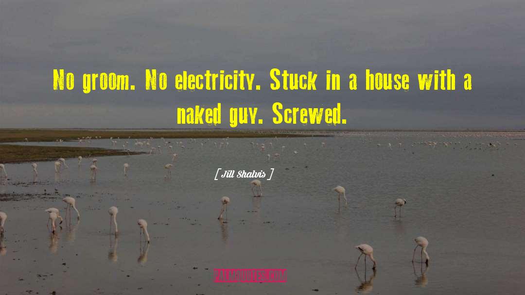 No Electricity quotes by Jill Shalvis