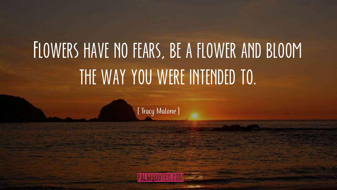No Fears quotes by Tracy Malone