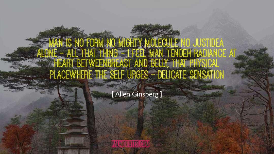 No Form quotes by Allen Ginsberg