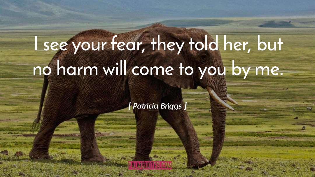 No Harm quotes by Patricia Briggs