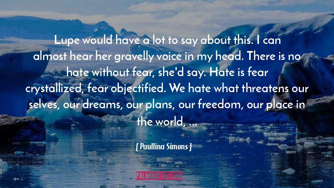 No Hate quotes by Paullina Simons